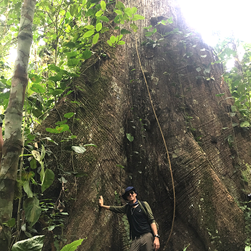 SPIRITWALKER spiritual ascension school for psychic development