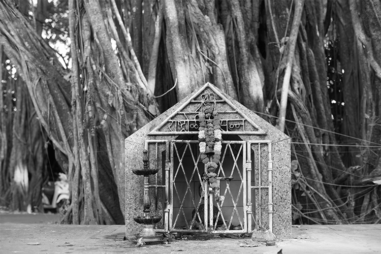 SPIRITWALKER spiritual ascension school for psychic development