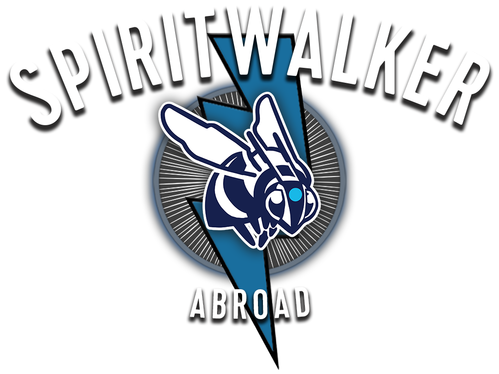 SPIRITWALKER spiritual ascension school for psychic development