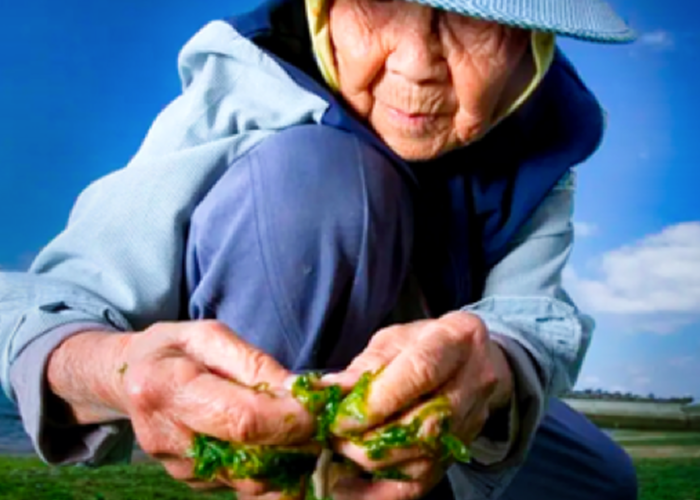 SPIRITWALKER spiritual ascension school for psychic development