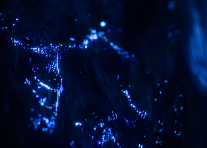 SPIRITWALKER spiritual ascension school for psychic development