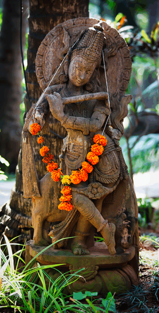 SPIRITWALKER spiritual ascension school for psychic development