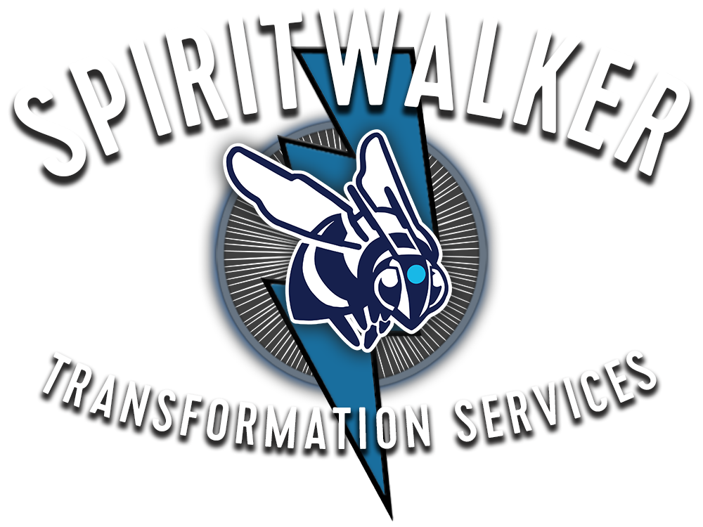 SPIRITWALKER spiritual ascension school for psychic development